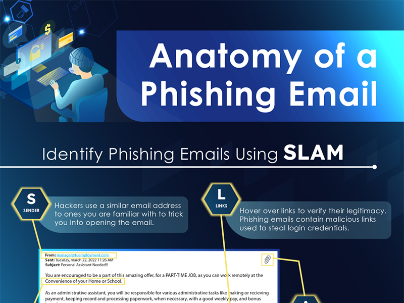 phishing graphic 800x600