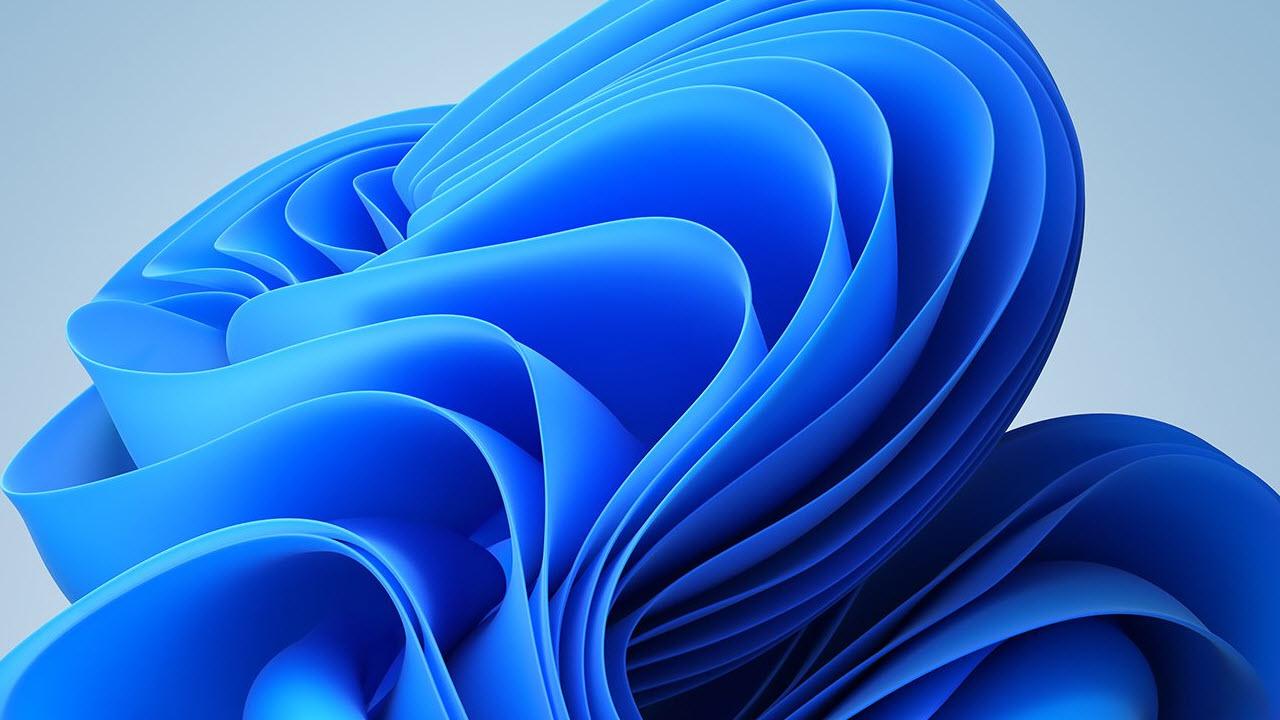 blue swirl flower that is the default image on Windows 11