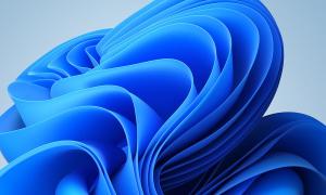 blue swirl flower that is the default image on Windows 11