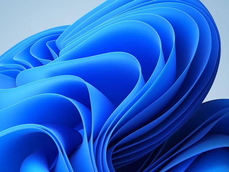 blue swirl flower that is the default image on Windows 11